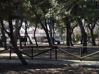 ...non vi sono tavolini per fare pic-nic